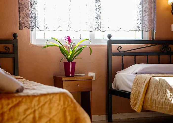 Aparthotel Xenia Palace Luxury 3*