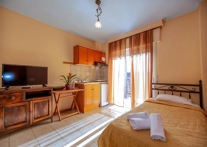 公寓式酒店 Xenia Palace Luxury